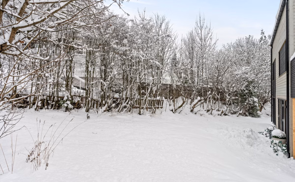 3517fd3e-c4bf-43e8-a68a-23cba63b3226